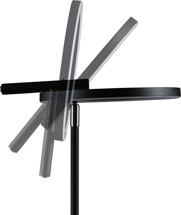 Actual product image Paulmann Odila (1540 lm)