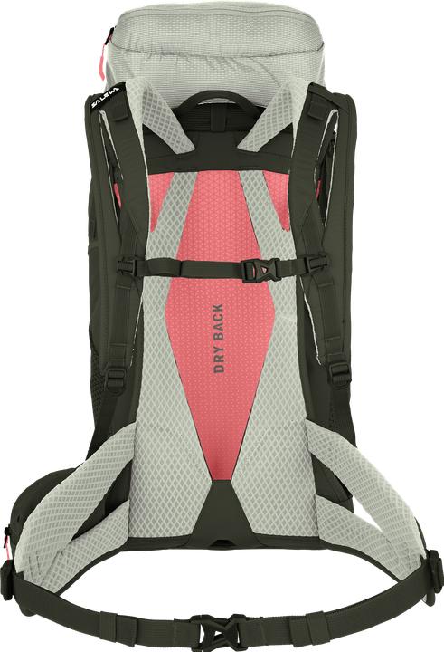 Actual product image Salewa Alp Trainer +L backpack (35 l)