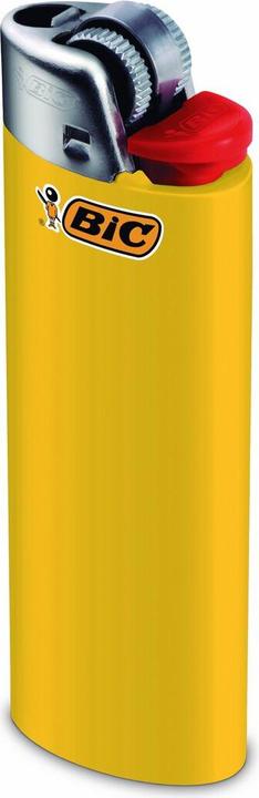 Actual product image Bic Lighter