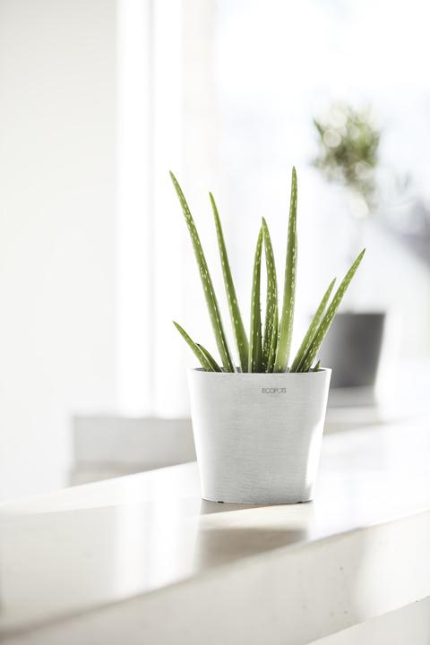 Produktbild Ecopots Amsterdam Mini (17 x 14.70 cm)