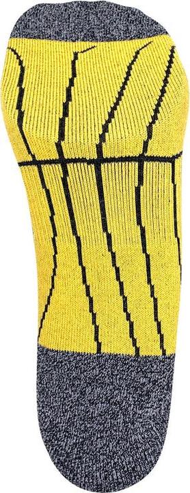 Produktbild DRASSN Vohenstrauss Merino Short (39 - 41)