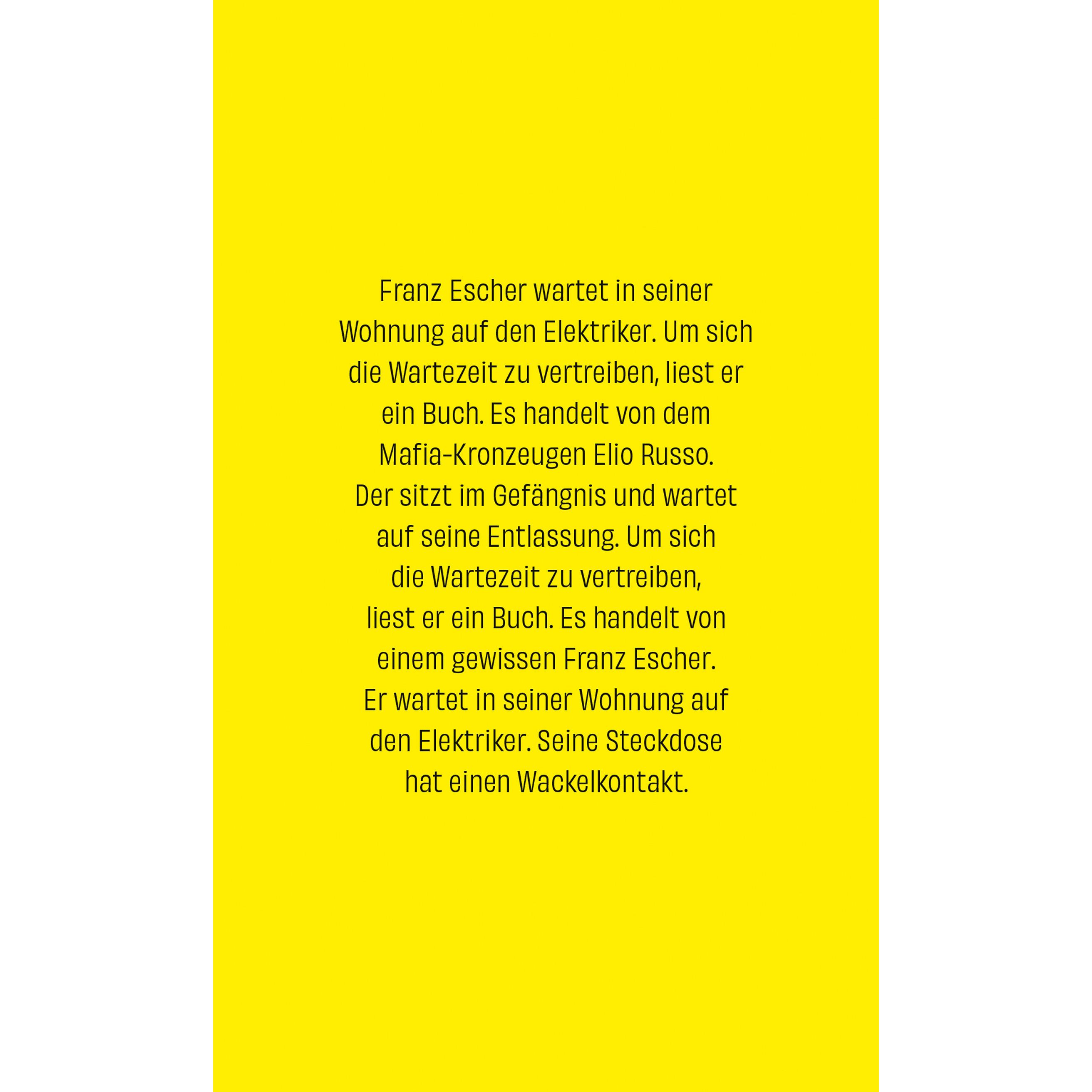 Thumbnail - Wackelkontakt, Belletristik von Wolf Haas