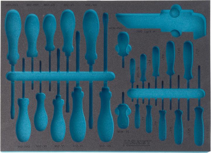 Actual product image HAZET 2C soft foam insert 163-141L