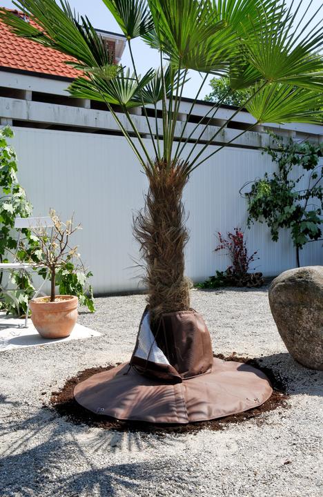 Actual product image Bio Green Palms Root protection