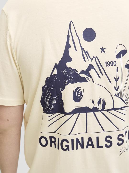 Immagine prodotto Jack & Jones Plus Size T-shirt T-shirt (6XL)