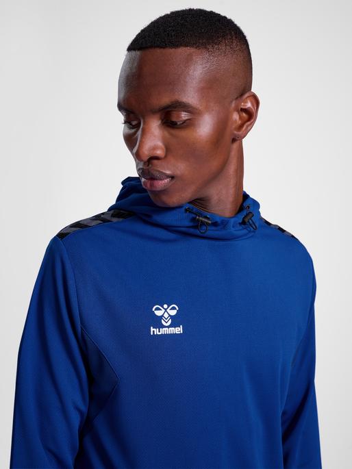 Actual product image hummel Hmlauthentic Pl Hoodie (L)