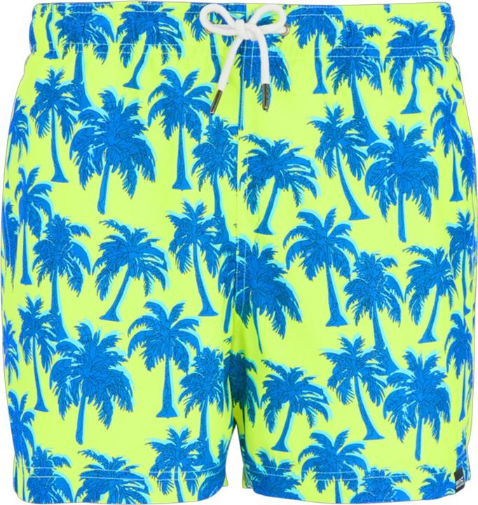 Leuchtend grün, Sonic-Blau