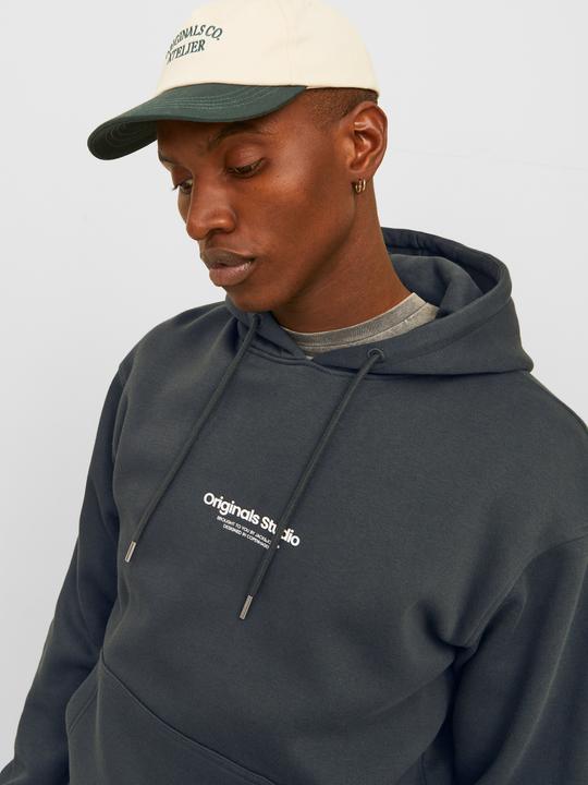 Image du produit Jack & Jones Imprimé Sweat à capuche Sweat à capuche (L)