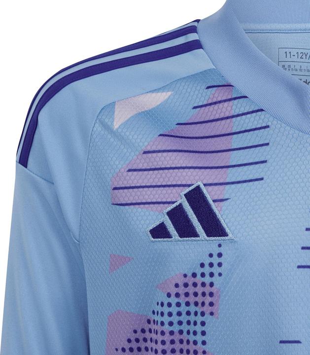 Actual product image adidas Tiro24 C Gk Jsy Ly (116)