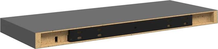 Actual product image vidaXL Wandregal (23.50 x 60 x 4 cm)