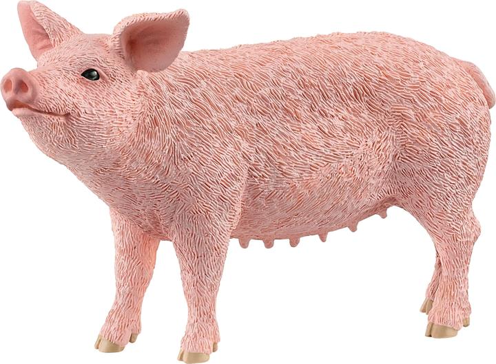 Actual product image Schleich Schwein