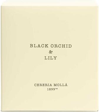 Actual product image Cereria Molla Air Freshener - Pack of 1 (600 g)