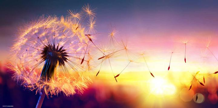 Sonnenlicht
