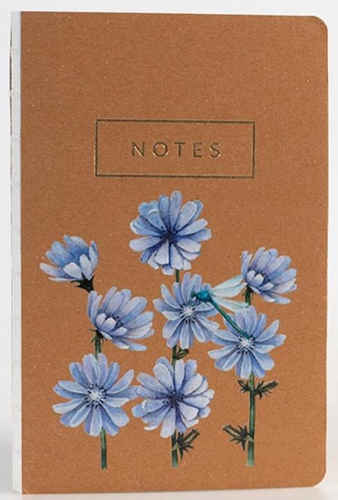 Actual product image Schubiger Chicory notebook (Special ruling, Hardcover)