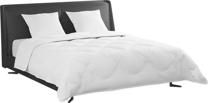 Actual product image vidaXL Bettdecken Set (260 x 220 cm, 50 x 50 cm)