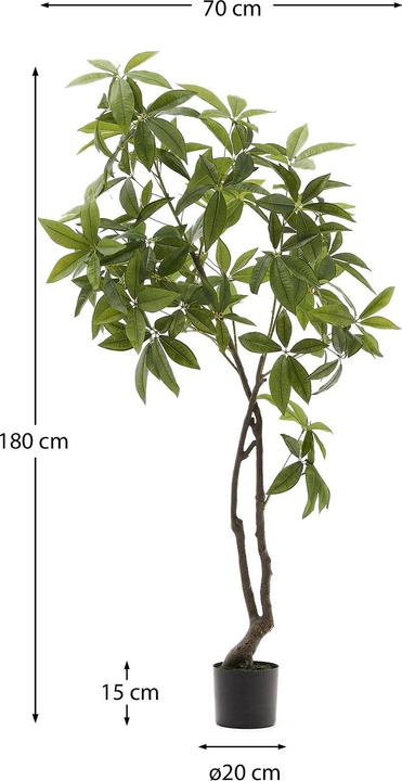 Immagine prodotto Kave Home Pachira (180 cm)