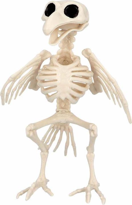 Actual product image Boland Scheletro di uccello: Flori (1 pcs.)