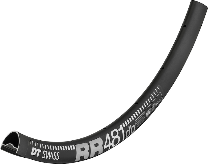 Actual product image DT Swiss RR 481 rim DB (28")