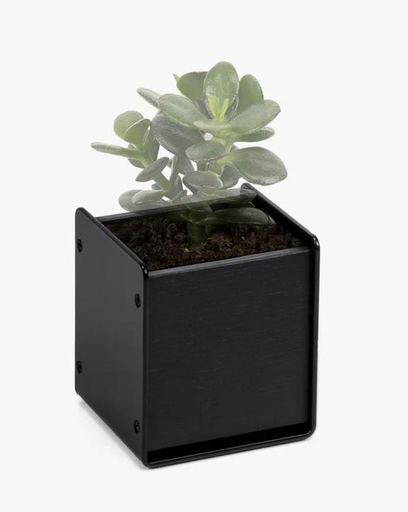 Actual product image Balolo Planter All Black (7 x 7 x 8.20 cm)