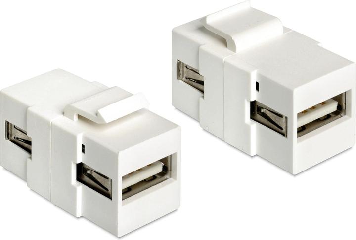 Delock Keystone Jack: USB2.0 (USB 2.0)