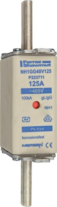 Actual product image Mersen NH fuse link (100 A)