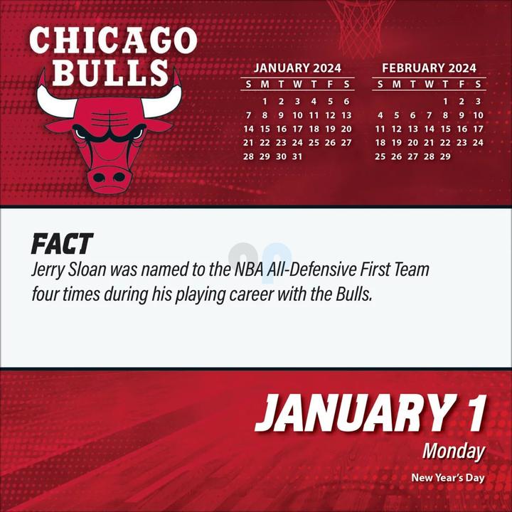 Produktbild NBA - Chicago Bulls - Tages-Abreisskalender in einer Box 2024 (Englisch, Deutsch, Französisch, Italienisch, Spanisch)