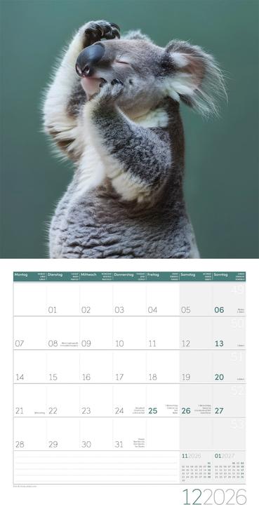 Produktbild Dancing Animals Kalender 2026
