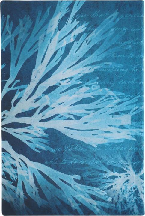 Produktbild Paperblanks Notizbuch Softcover Meeresblumen Mini Liniert (9 x 14 cm, Liniert, Weicher Einband)