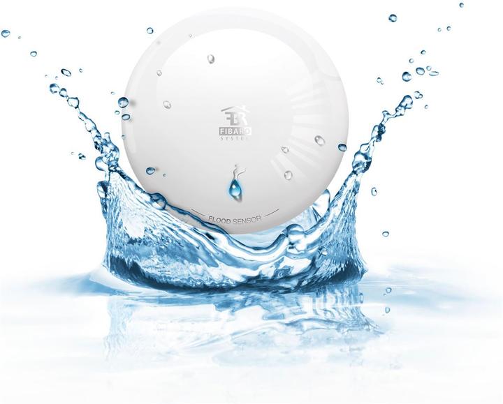 Actual product image Fibaro Flood Sensor +