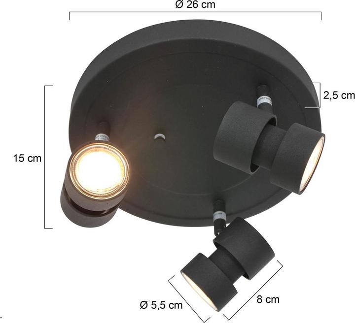 Produktbild Steinhauer Natasja LED (480 lm, GU10)