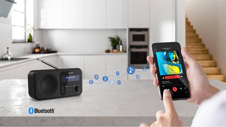 Image du produit Sharp DR-P420 (DAB+ DAB, FM, VHF, Bluetooth)