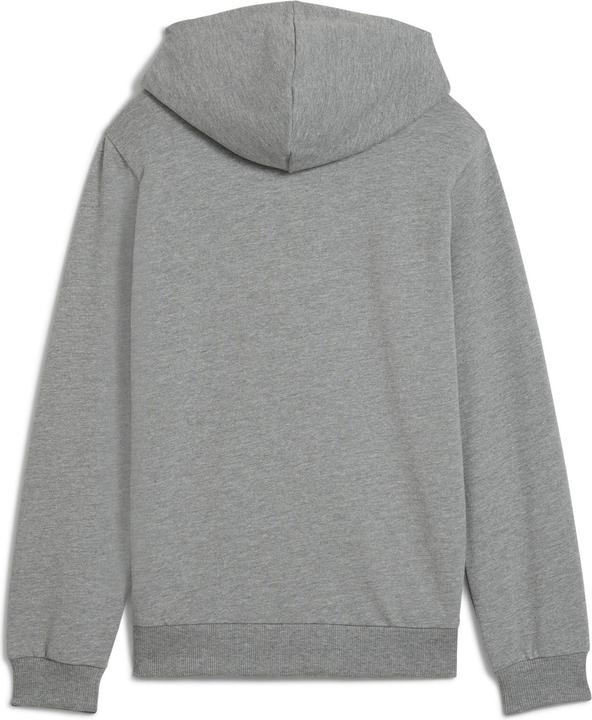 Image du produit Puma teamGOAL Casuals Hoody Jr (176)