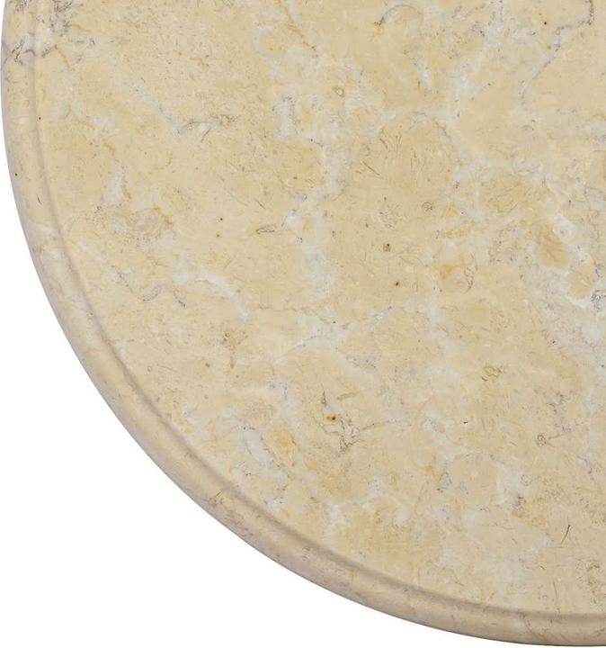 Immagine prodotto vidaXL Tischplatte (60 x 60 cm)