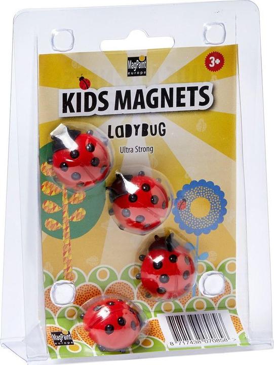Actual product image Magpaint Magnet set (4x)
