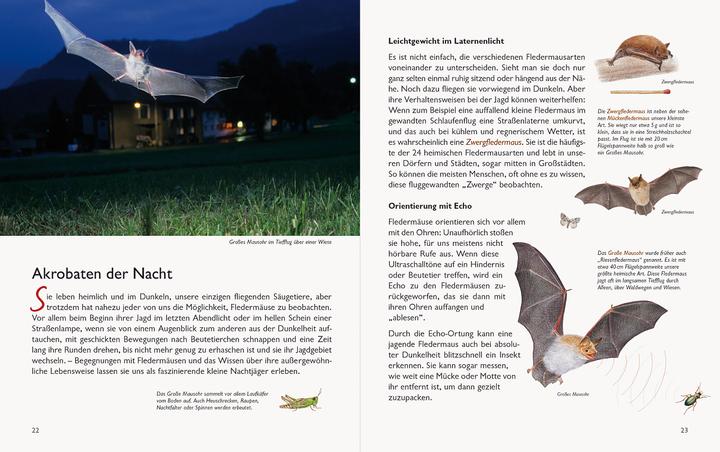 Produktbild Wawra's Naturbuch, Band 1: Säugetiere, Vögel, Reptilien, Amphibien (Deutsch, Johannes Wawra, Ursula Wawra, 2020)