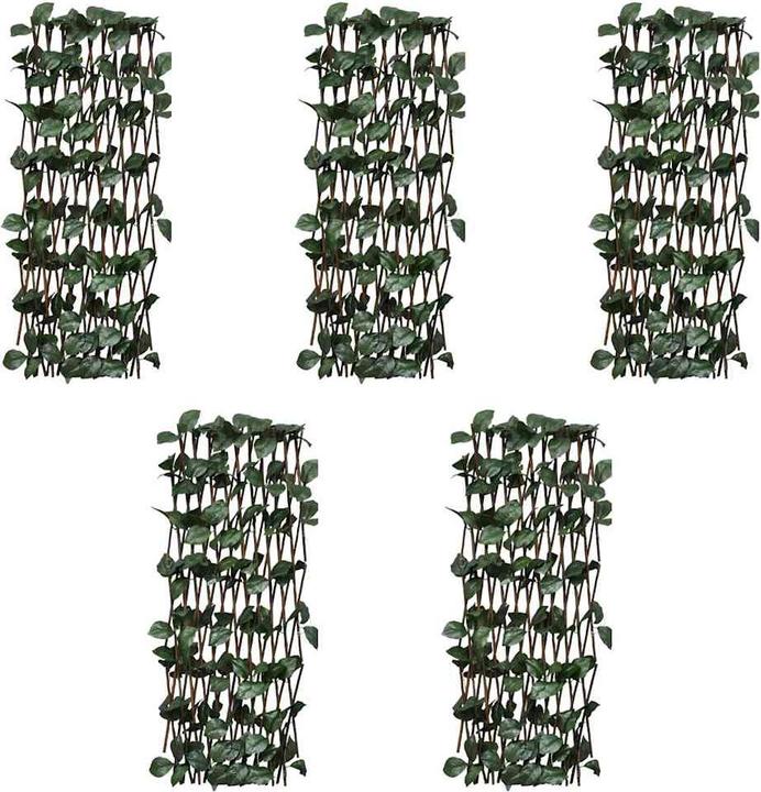 Image du produit vidaXL Zaun