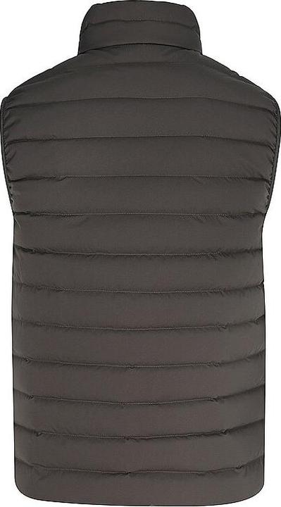Actual product image Emporio Armani Daunensteppgilet ESSENTIAL (50)