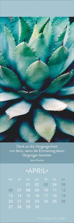 Produktbild Gute Gedanken Lesezeichen & Kalender 2026