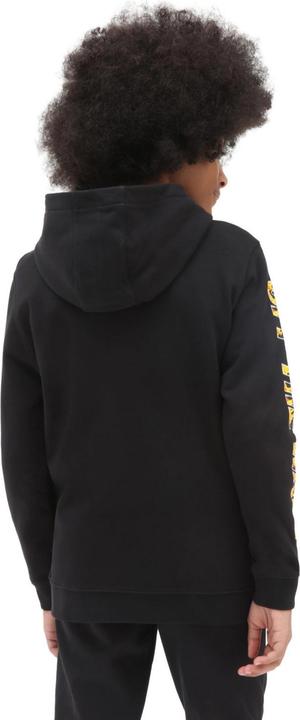 Actual product image Vans Digi Flames Hoodie Kids (S)