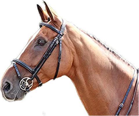 Actual product image Barton Leather Plain Horse Browband