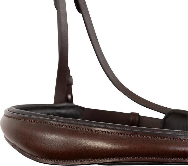 Produktbild BR Equestrian Equipment Credition