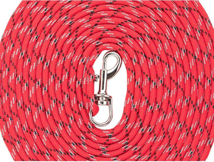 Image du produit Trixie Junior laisse à trainer pour chiots (XXS, Chien, Général, Sport canin)