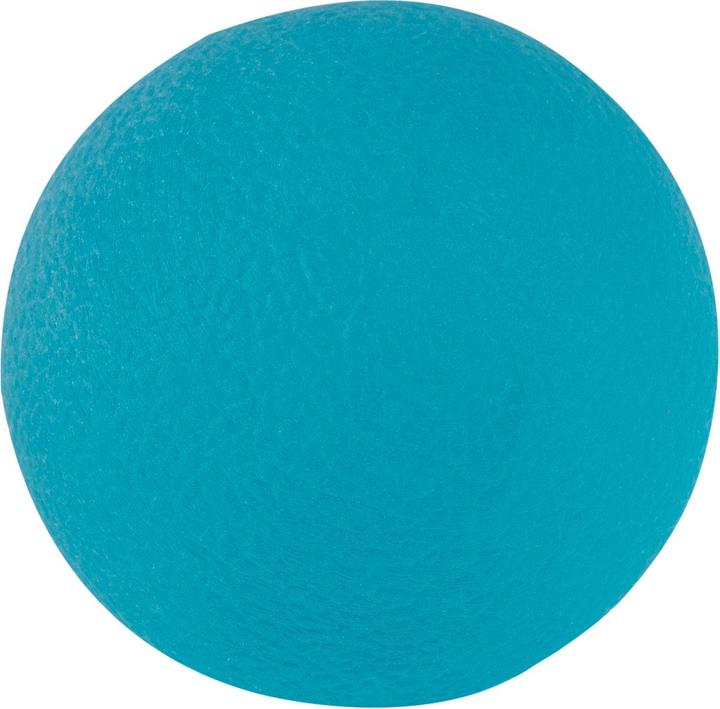 Sport-Thieme Handtrainer Physioball