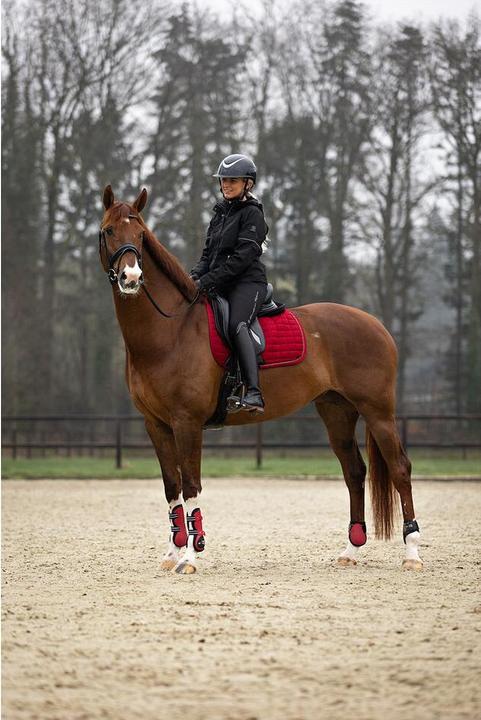 Produktbild BR Equestrian Equipment XO2