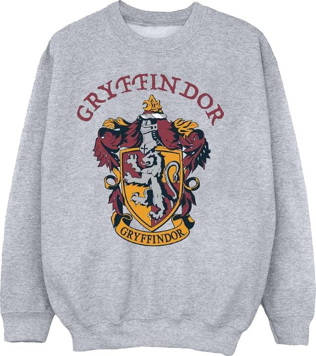 Immagine prodotto Felpa Gryffindor Ragazzi (152, 158)