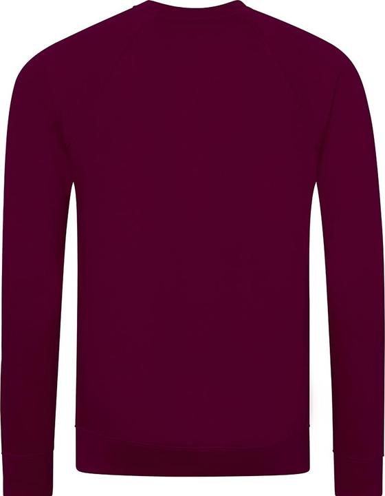 Actual product image Awdis Academy round neck sweatshirt (L)