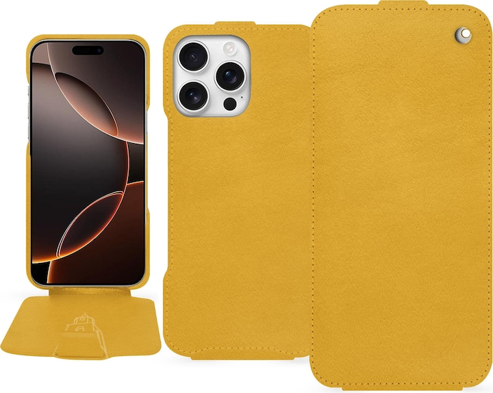 Jaune soulèu ( Pantone #F3B934 )