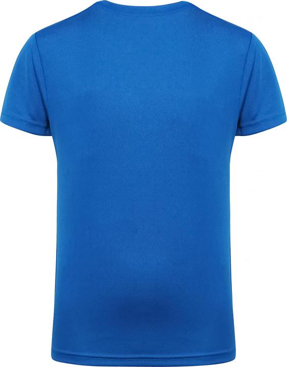 Actual product image Tri Dri Performance T-shirt (152)