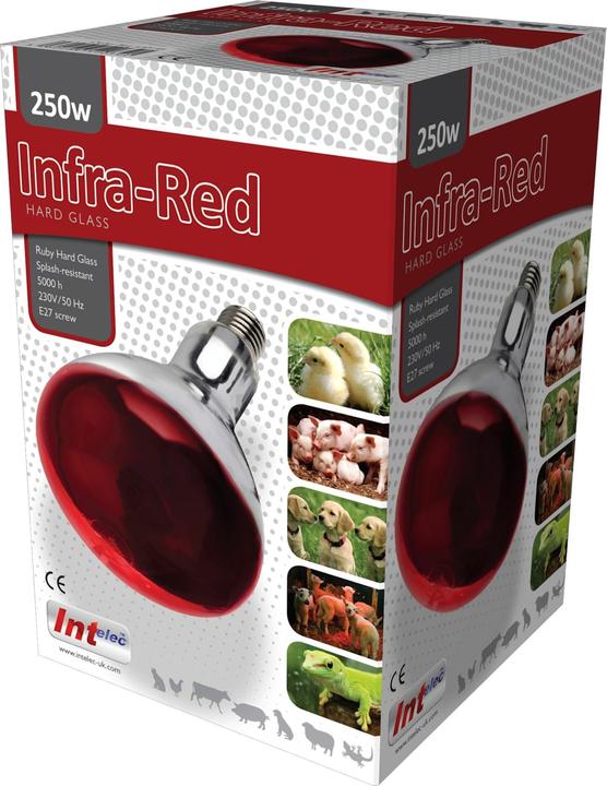 Actual product image Tusk Intelec Infrared Lamp With Hard Glass (250 W)