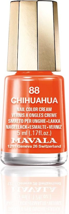 Chihuahua
